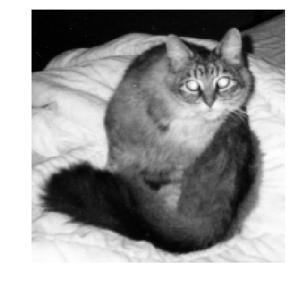 <Figure size 640x480 with 1 Axes>